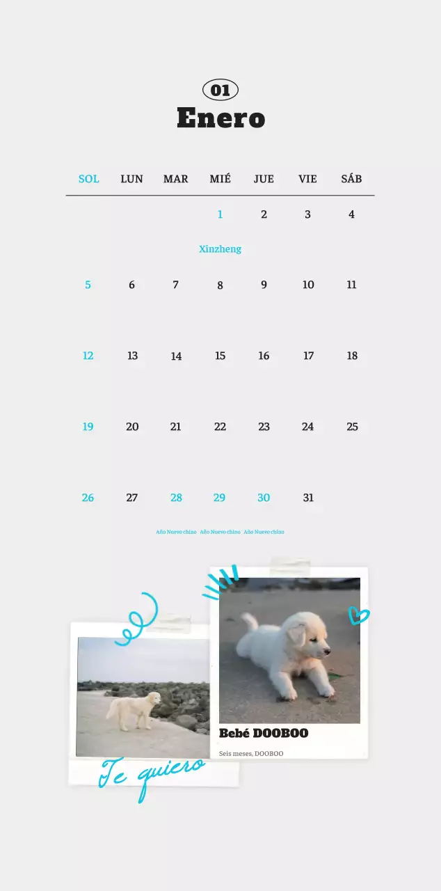 Ballet Blanco Neat Animal Foto Calendario