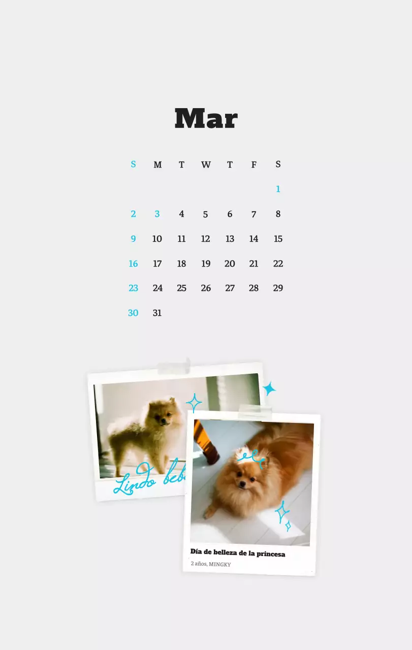 Ballet Blanco Neat Animal Foto Calendario