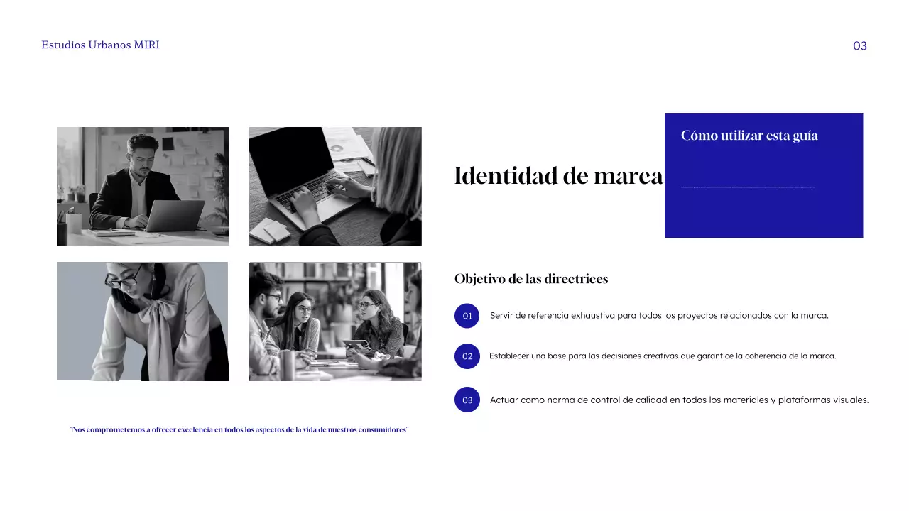 directriz de la marca blue modern