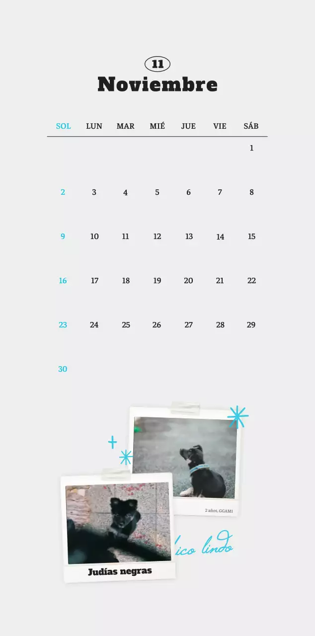 Ballet Blanco Neat Animal Foto Calendario