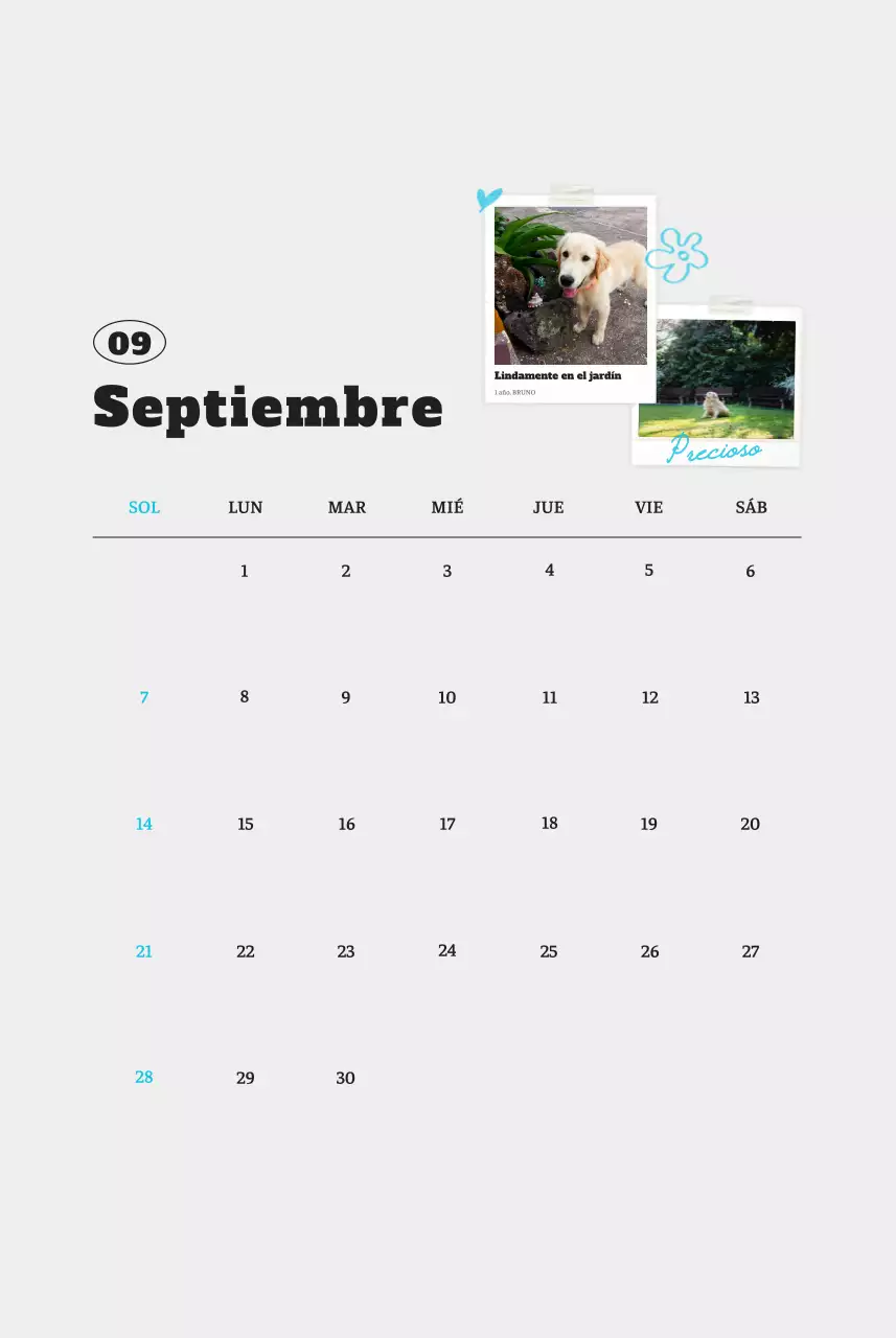 Ballet Blanco Neat Animal Foto Calendario