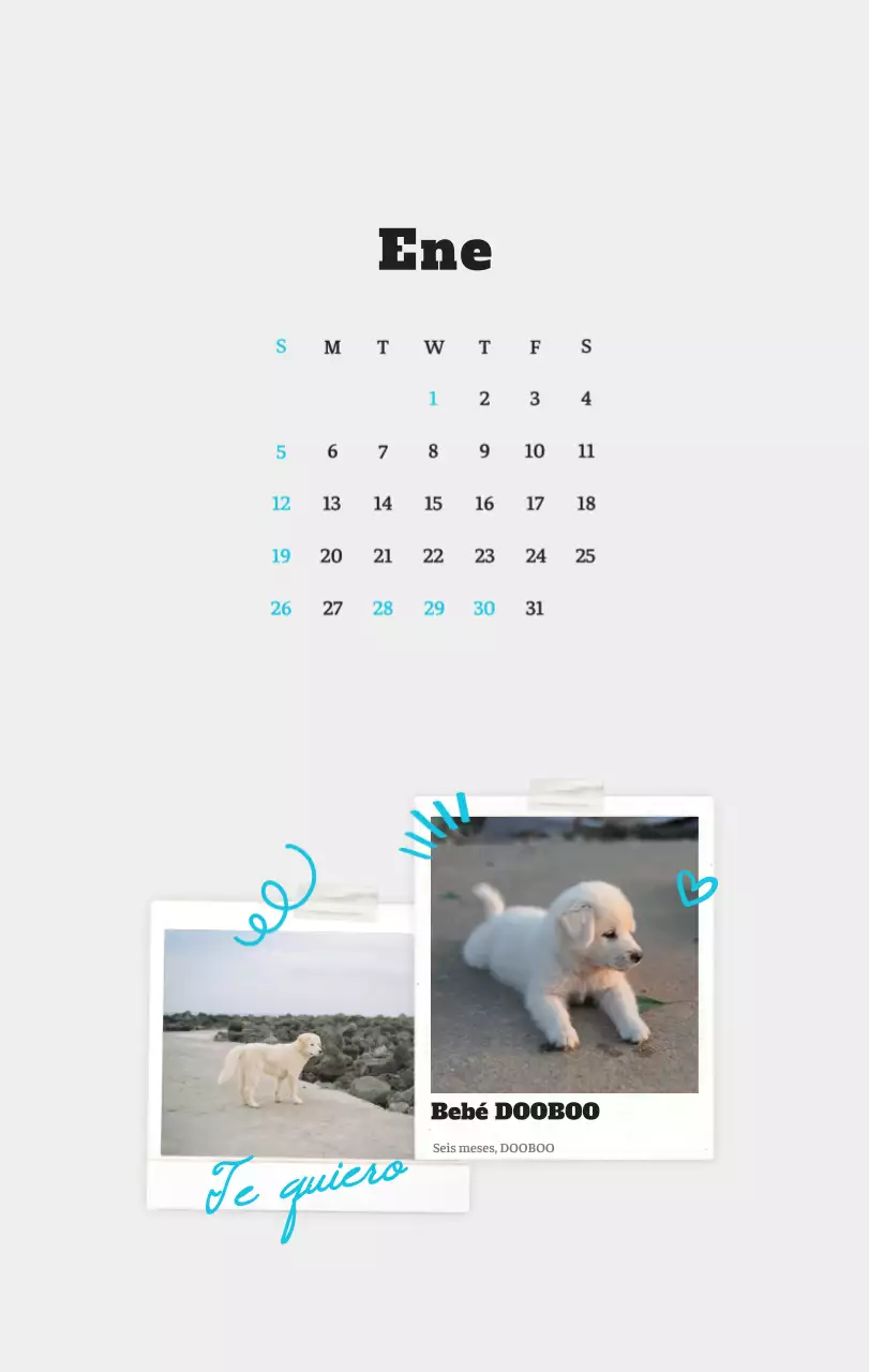 Ballet Blanco Neat Animal Foto Calendario