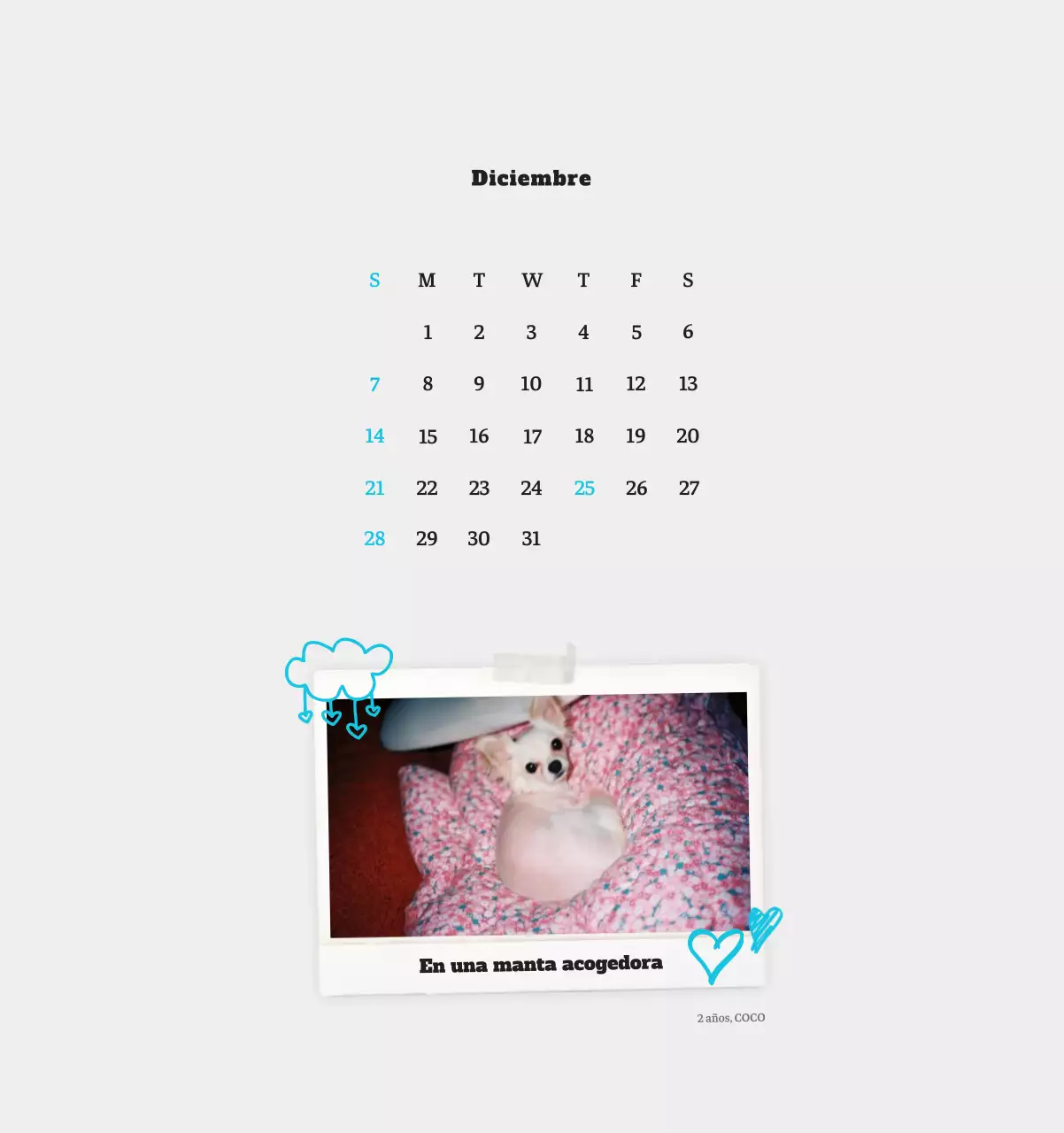 Ballet Blanco Neat Animal Foto Calendario