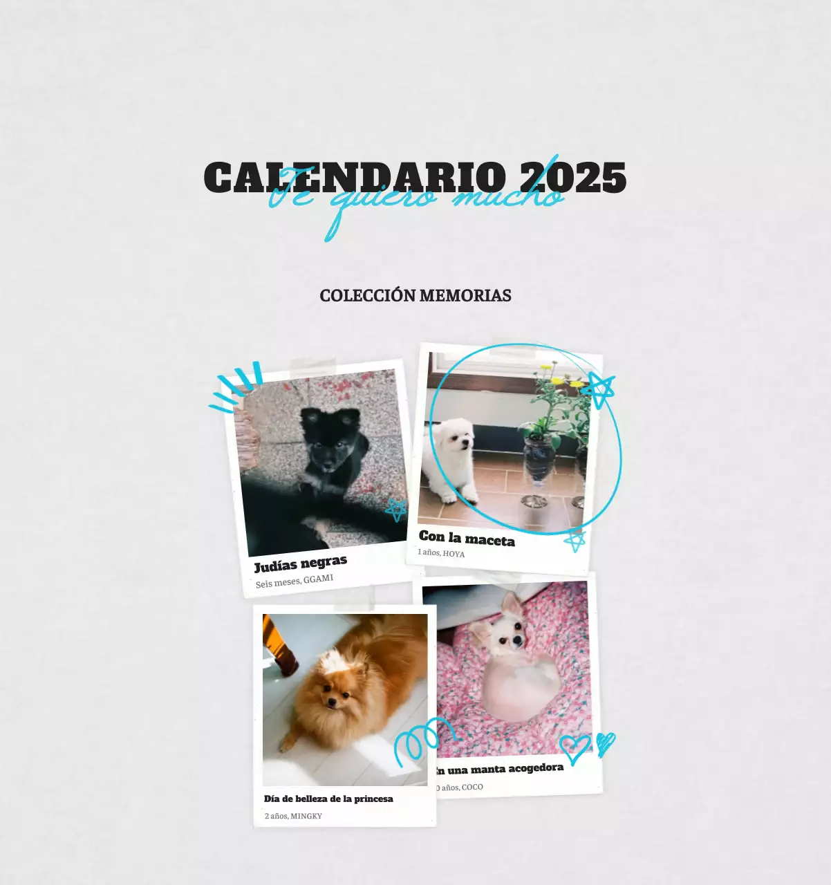 Ballet Blanco Neat Animal Foto Calendario