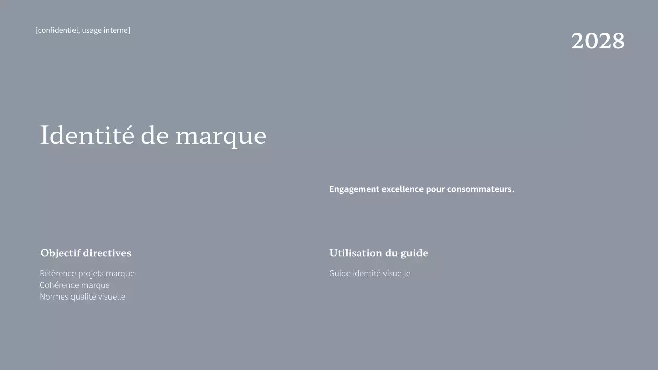 Ligne directrice de la marque Navy Professional