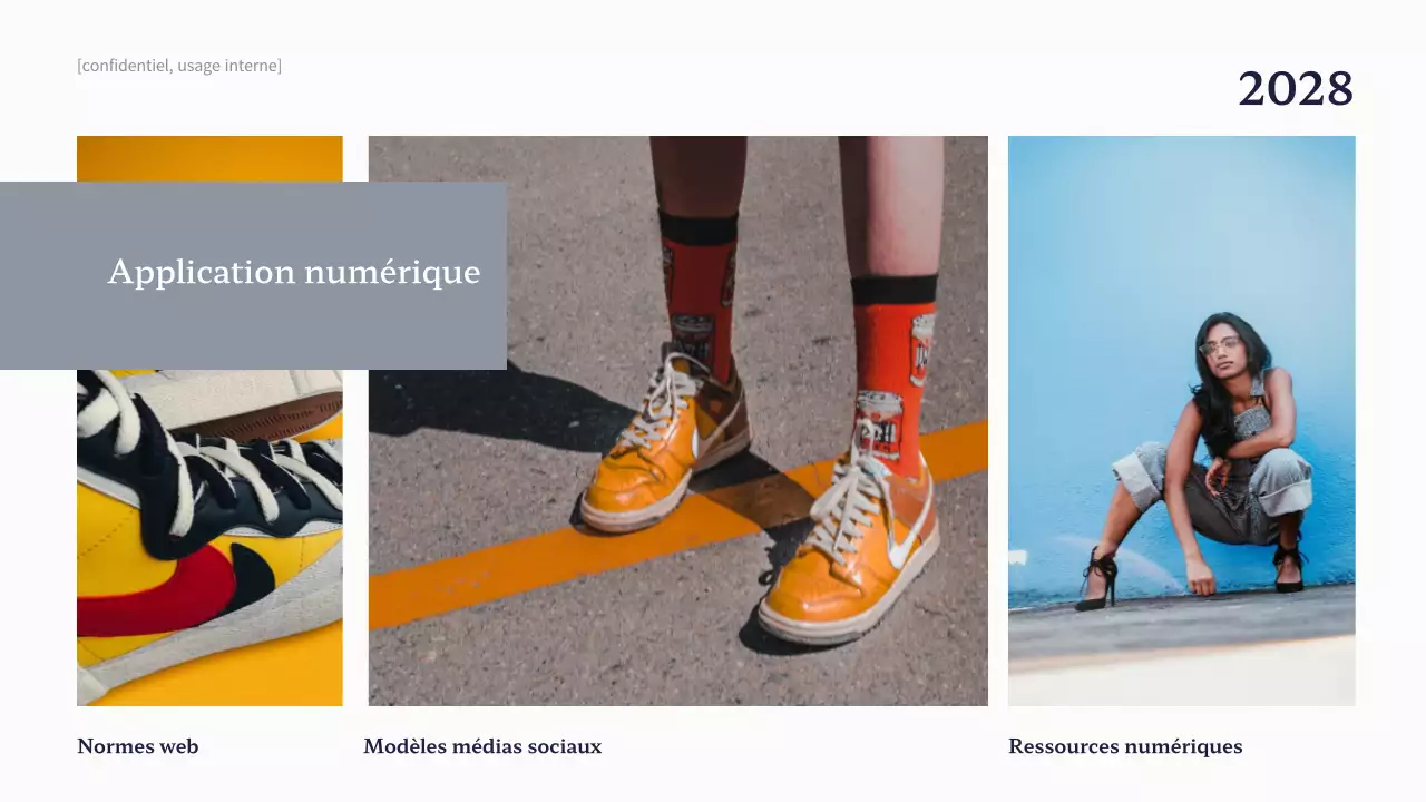 Ligne directrice de la marque Navy Professional