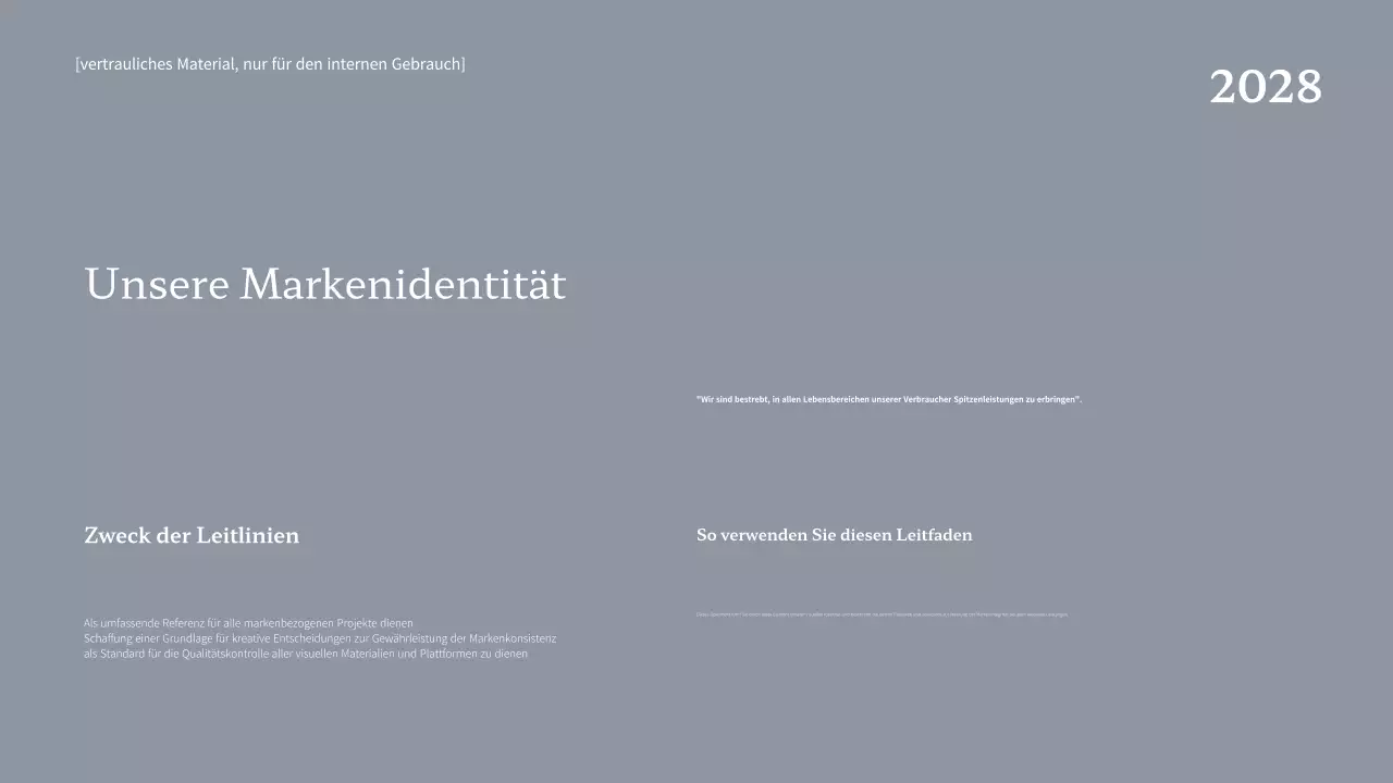 Navy Professional Markenleitfaden