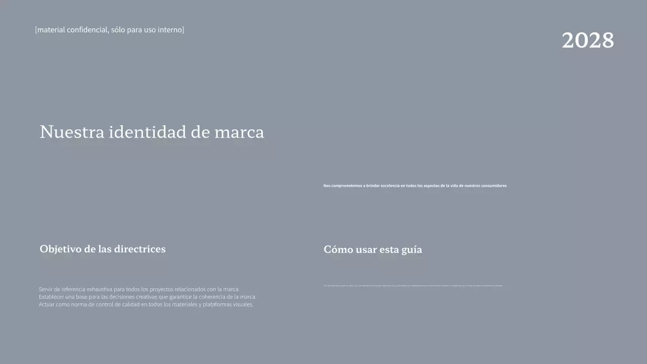 Directriz de la marca Navy Professional