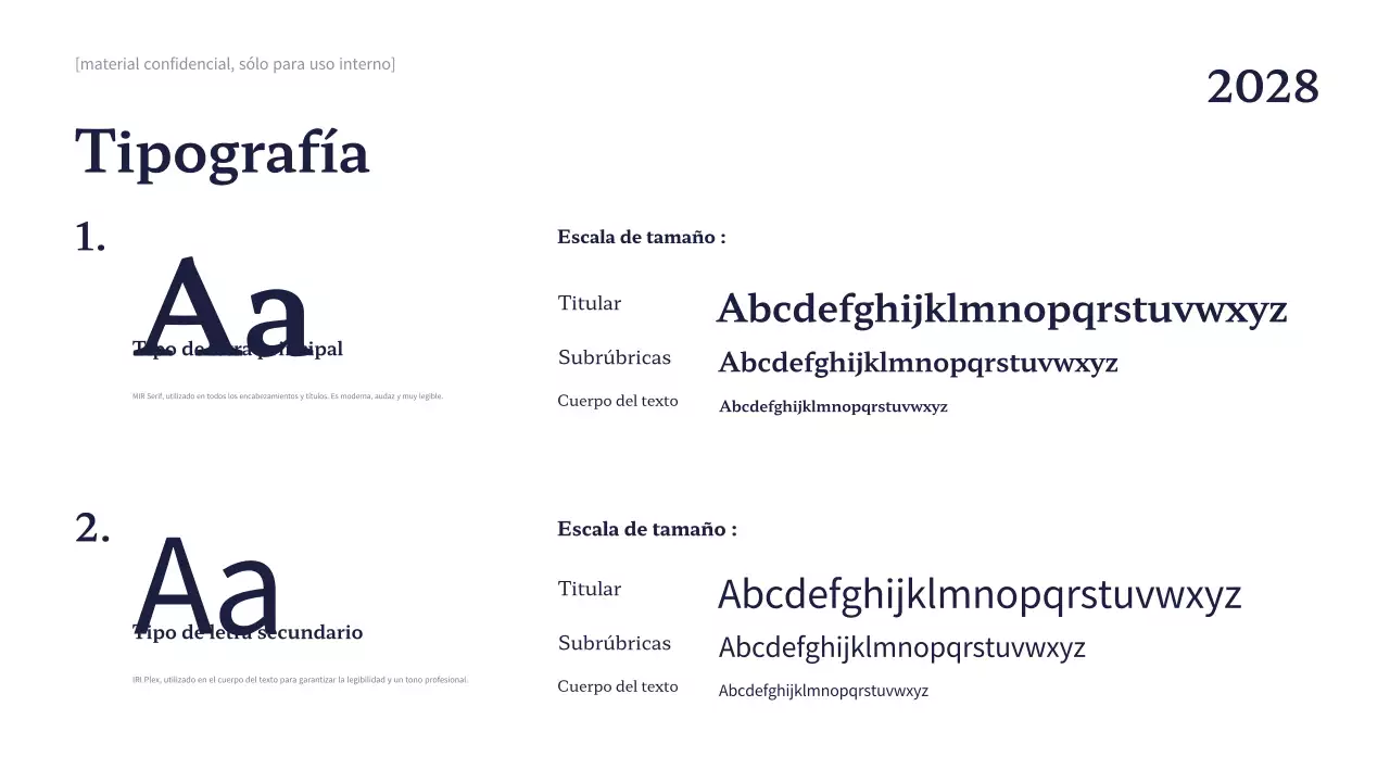 Directriz de la marca Navy Professional