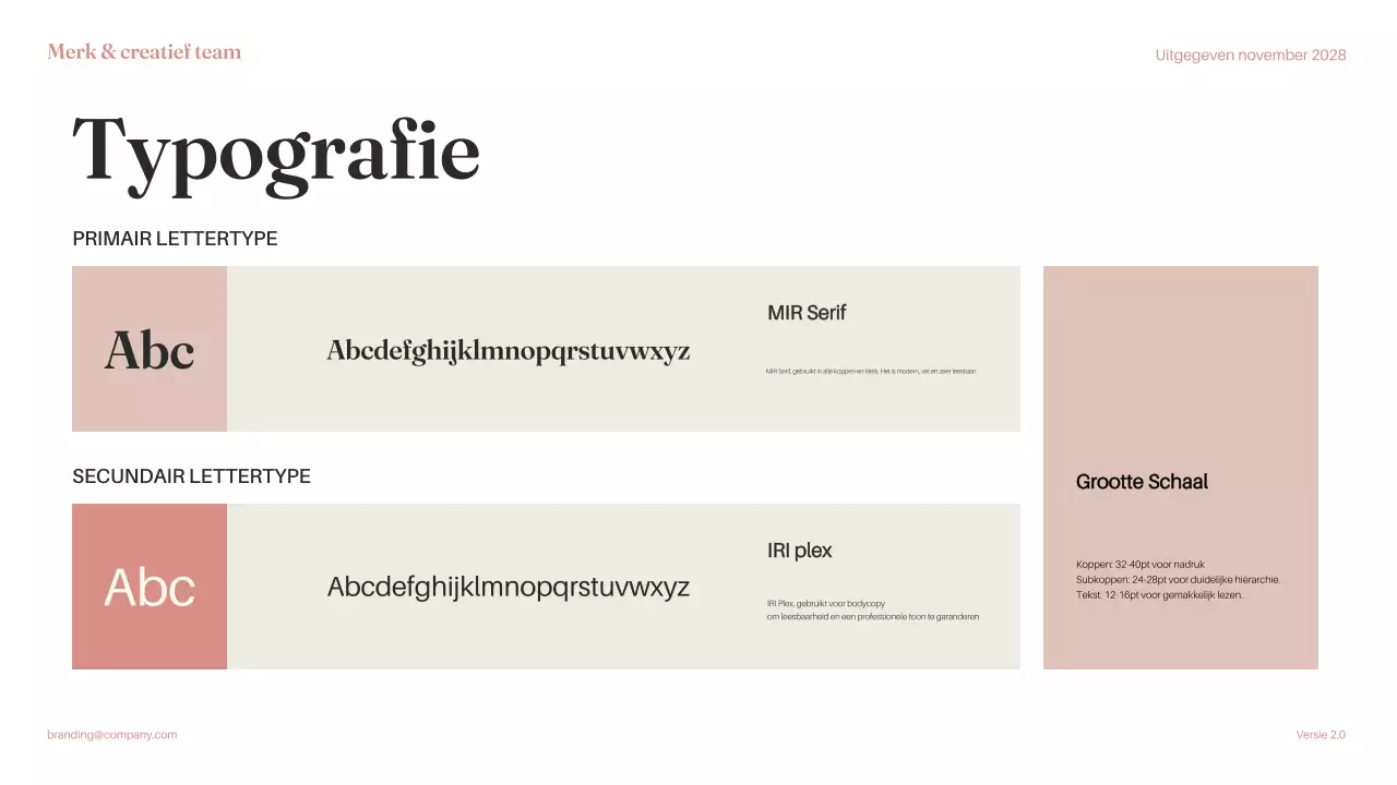 Roze minimalistische merkrichtlijn