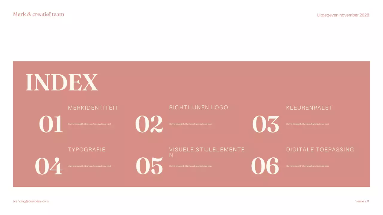 Roze minimalistische merkrichtlijn