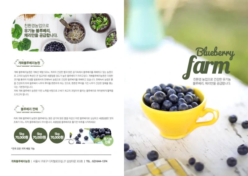블루베리 농원