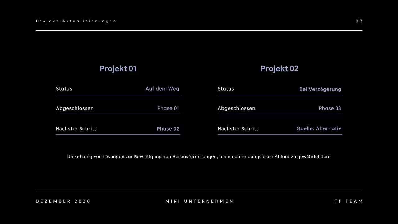 Black Dark Business Report