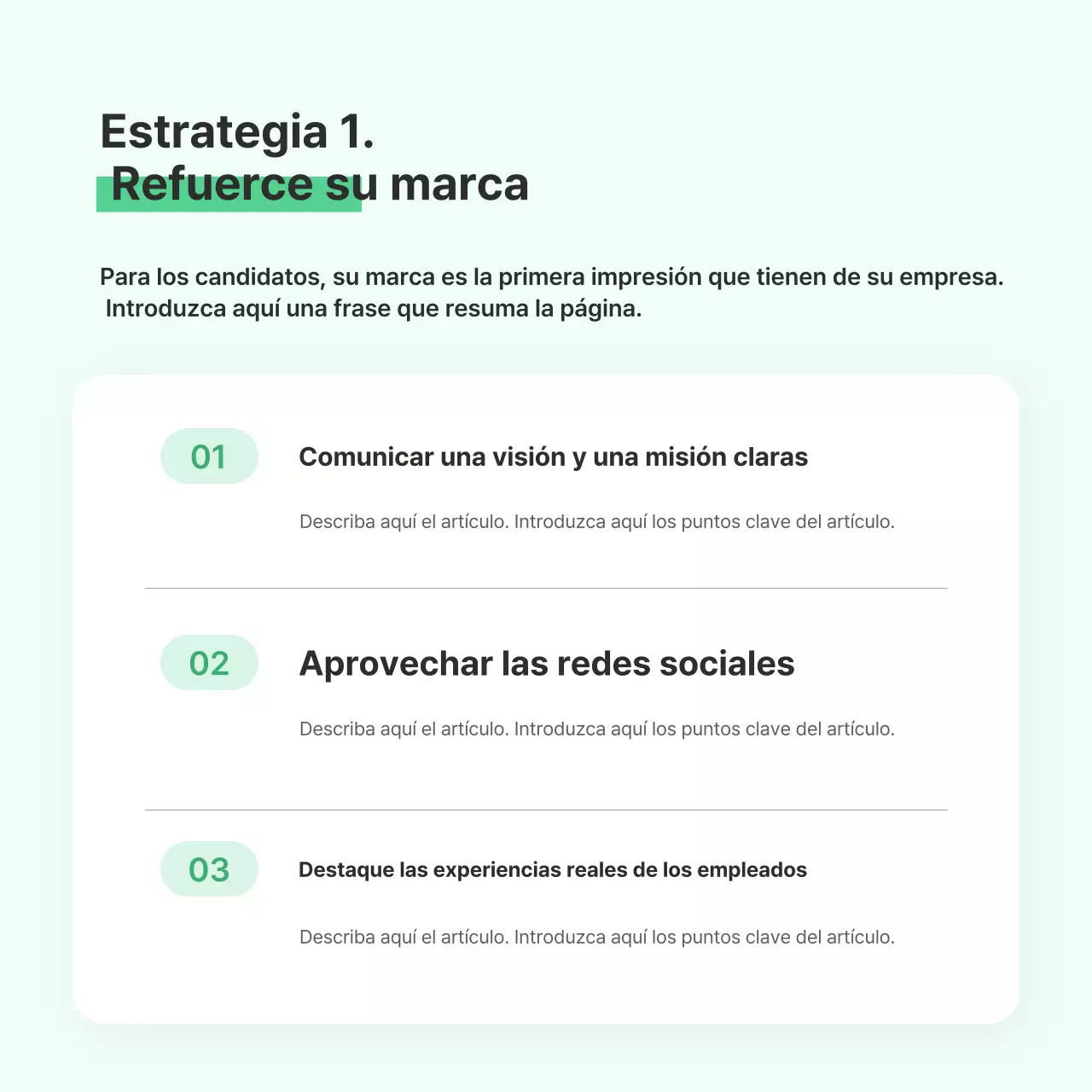 Manual de estrategia empresarial de Mint Tidy