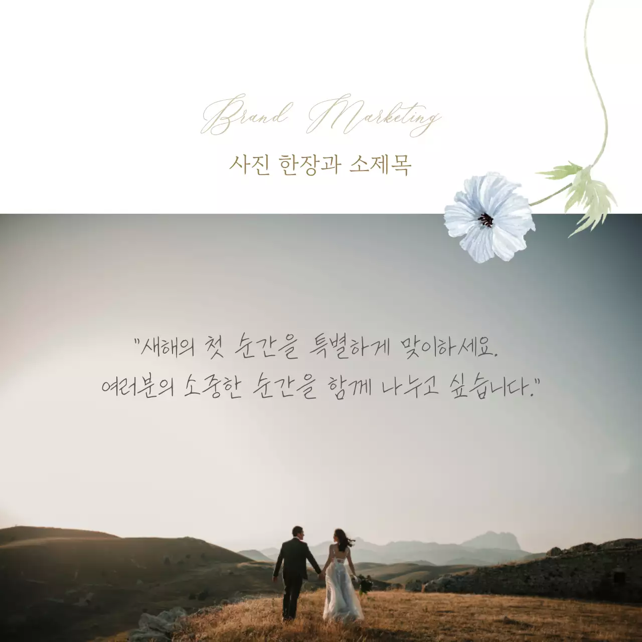 감각적이고 고급스러운 브랜드 카드뉴스