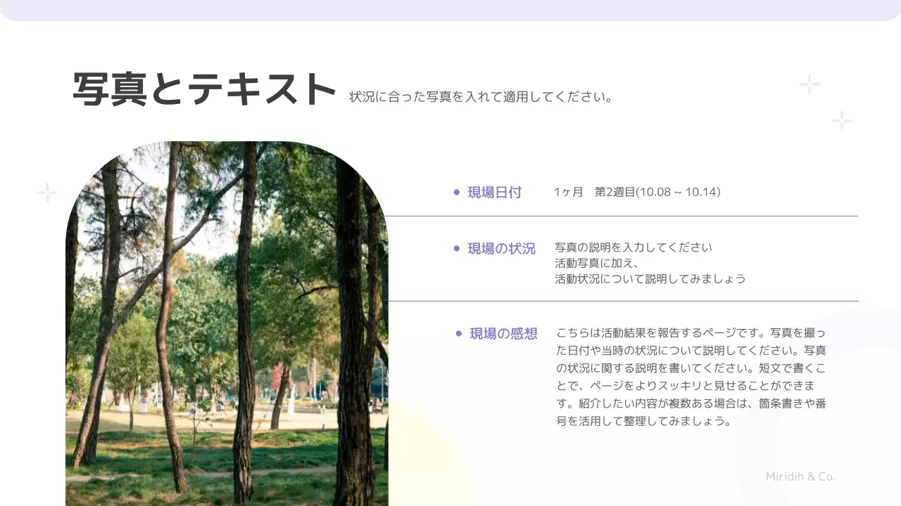 紫 シンプル プラン プレゼンテーション