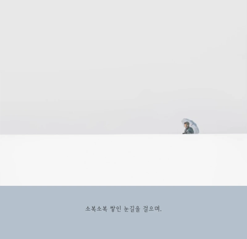 화이트 깔끔한 보테니컬 자연