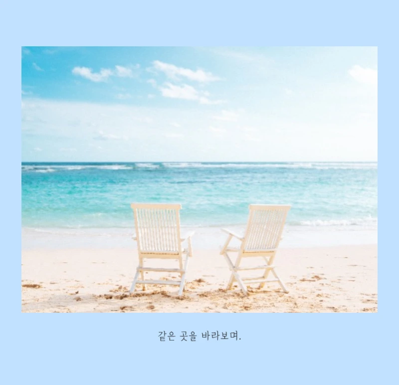 화이트 깔끔한 보테니컬 자연