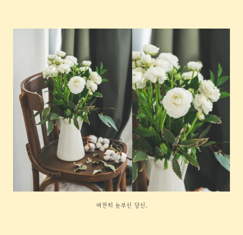 화이트 깔끔한 보테니컬 자연