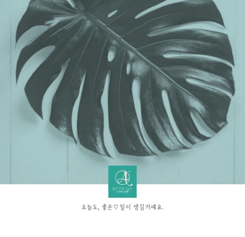 화이트 깔끔한 보테니컬 자연