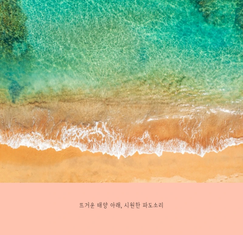 화이트 깔끔한 보테니컬 자연