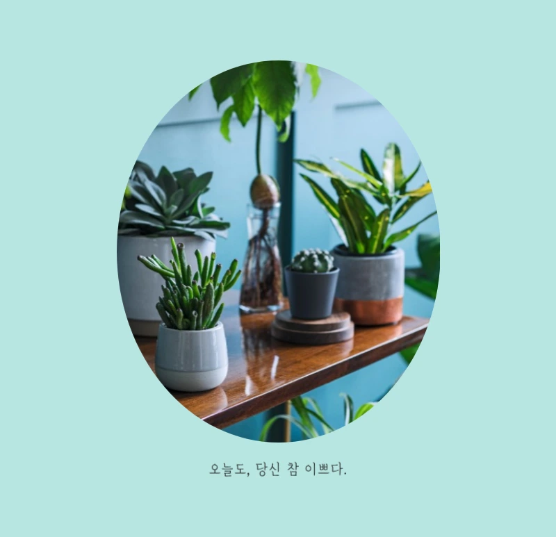 화이트 깔끔한 보테니컬 자연