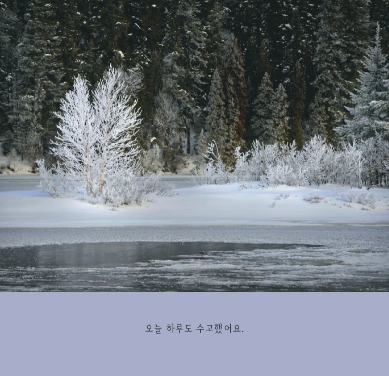 화이트 깔끔한 보테니컬 자연