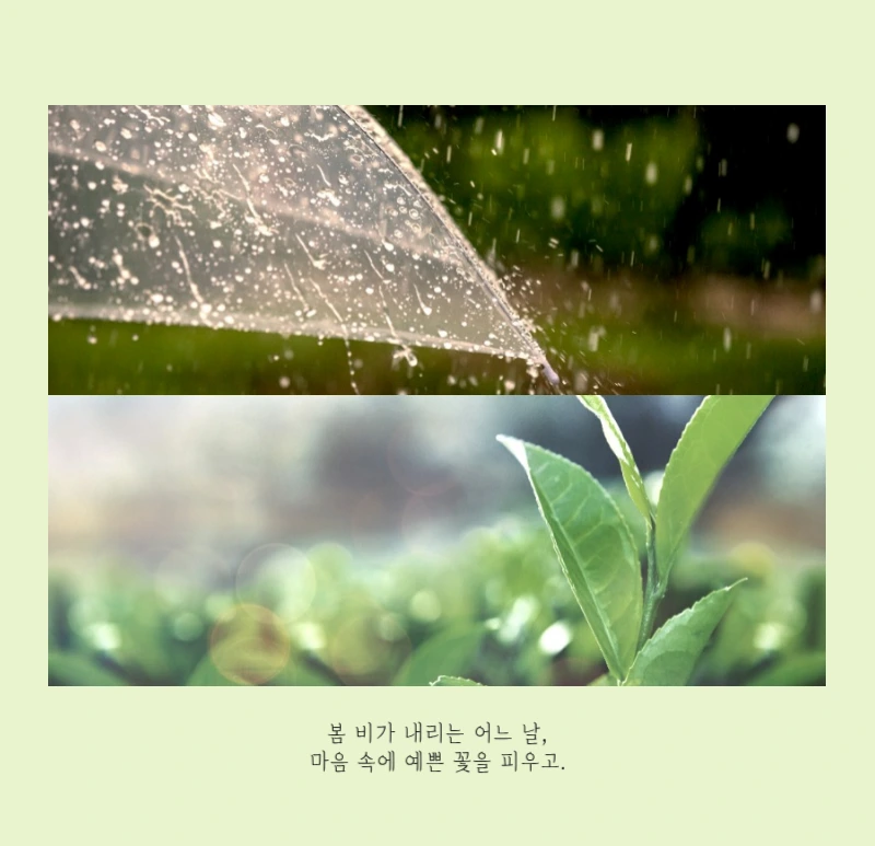 화이트 깔끔한 보테니컬 자연