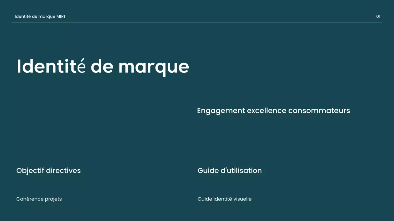 ligne directrice de la marque red professional