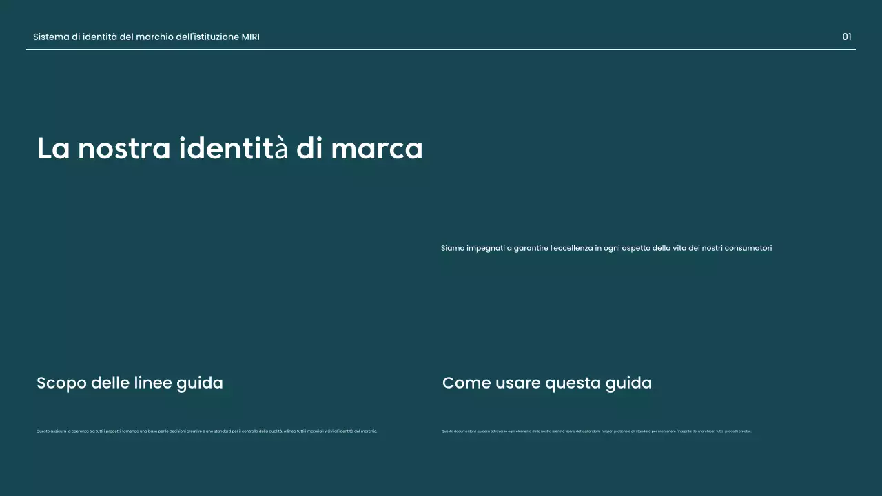 linea guida del marchio professionale rosso