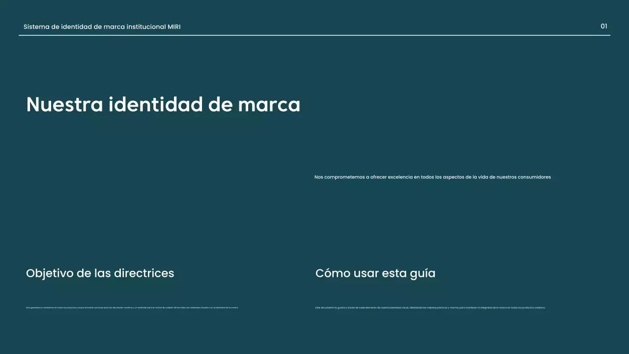 directriz de la marca red professional