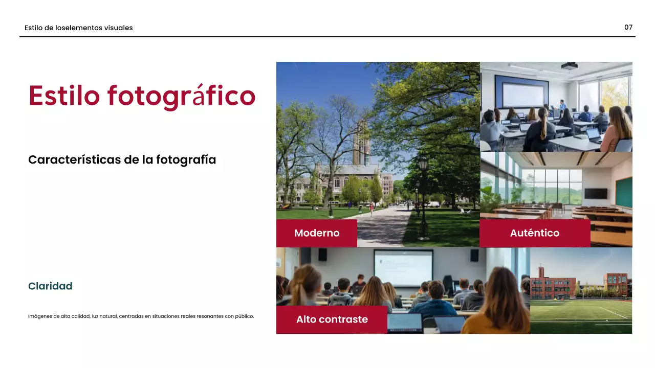 directriz de la marca red professional