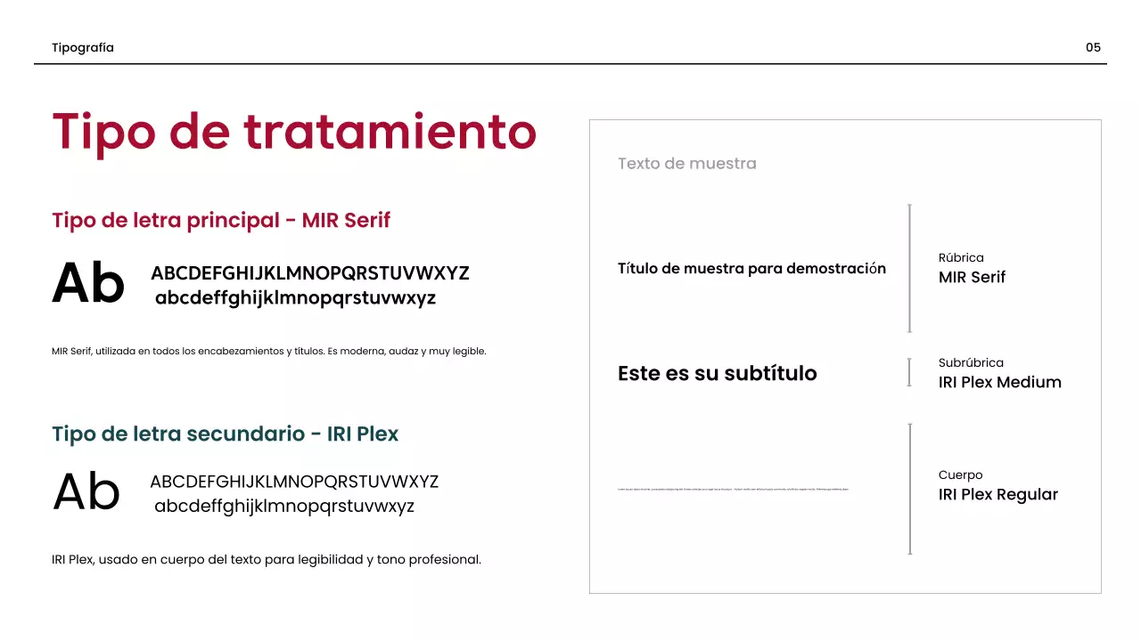 directriz de la marca red professional