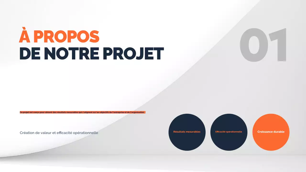 document de rapport de projet minimal de la marine