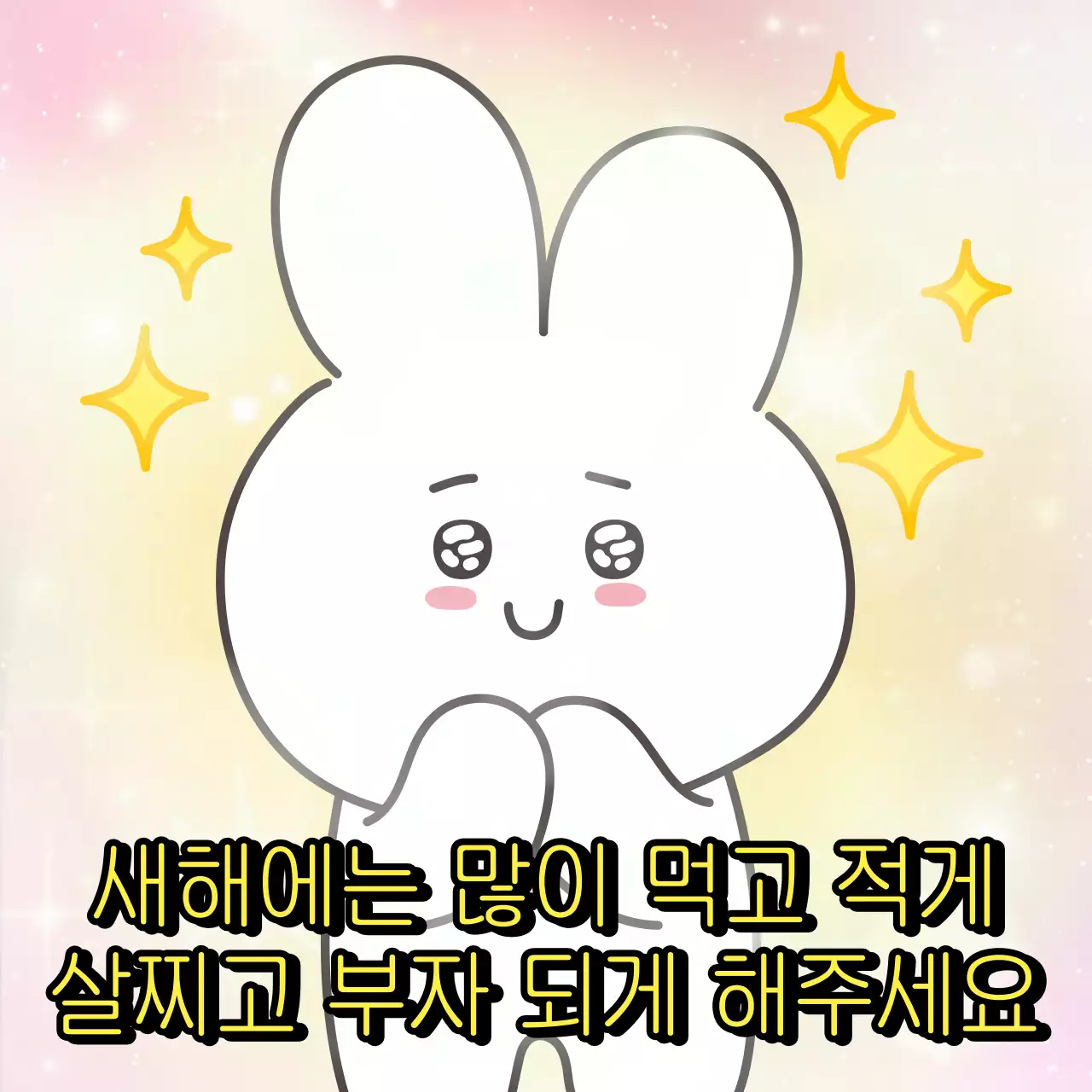 연보라 아기자기한 새해 짤