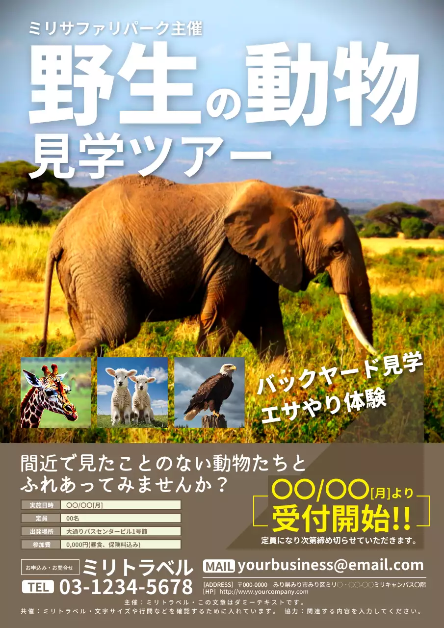 カラフル 楽しい 動物 ポスター