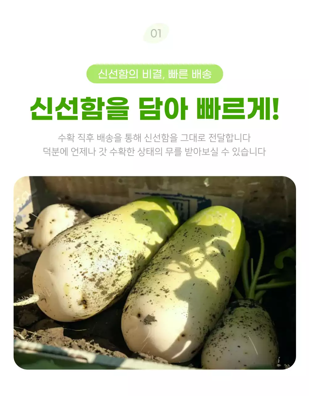 초록 심플 유기농 광고