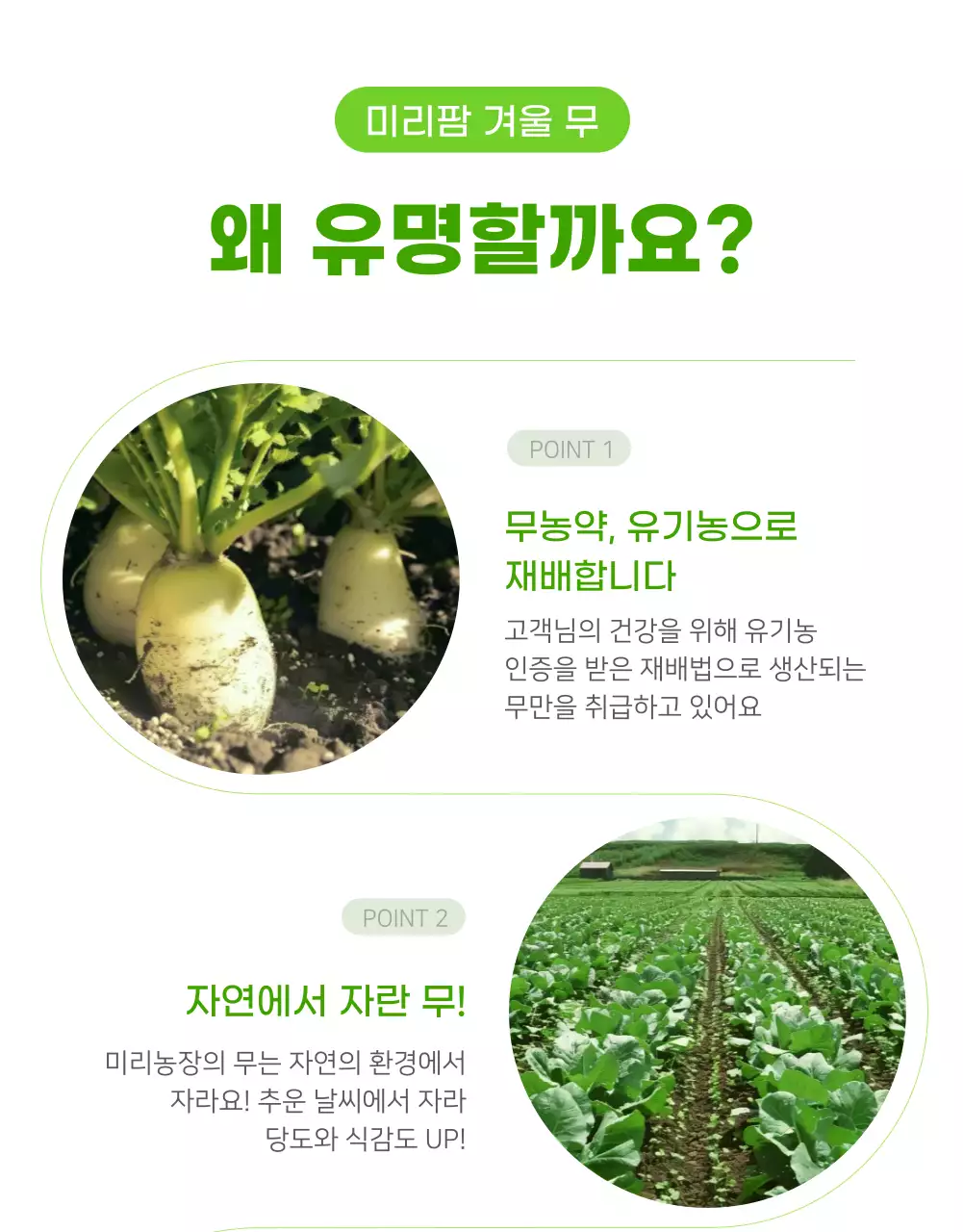 초록 심플 유기농 광고