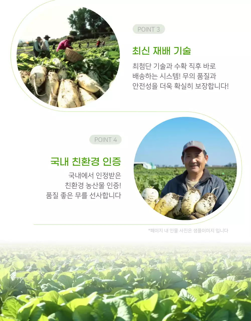 초록 심플 유기농 광고