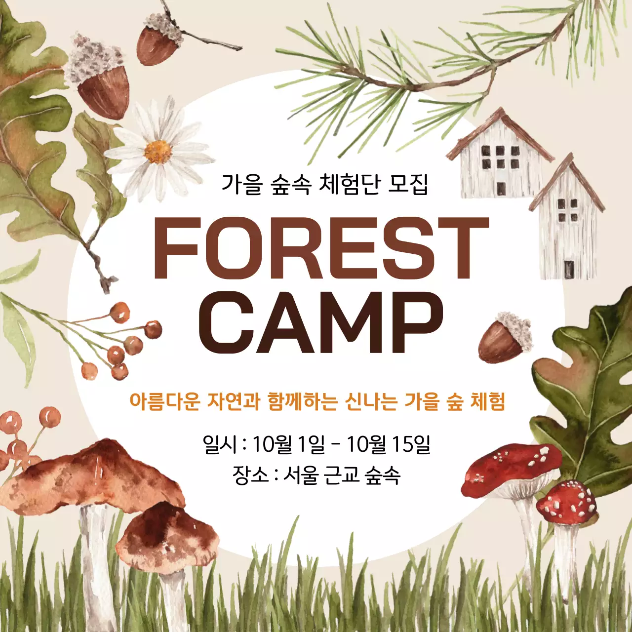 숲체험 포레스트캠프 광고