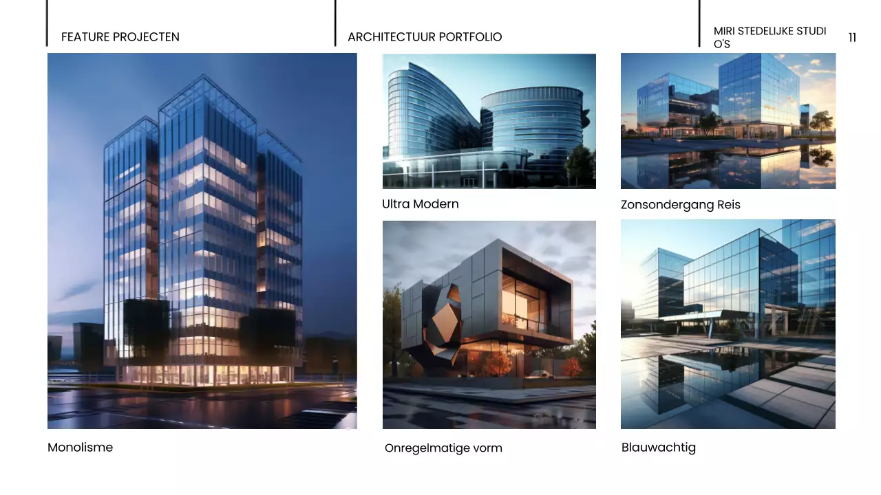 portfolio zwarte moderne architectuur