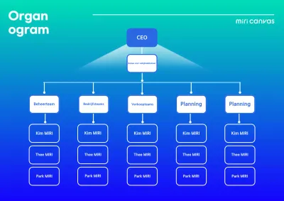 Blauwe standaardbeschrijving organigram