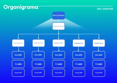 Descripción azul por defecto del organigrama