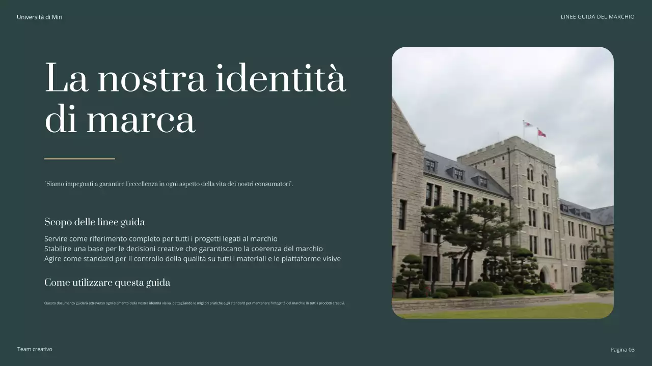 guida universitaria verde classica