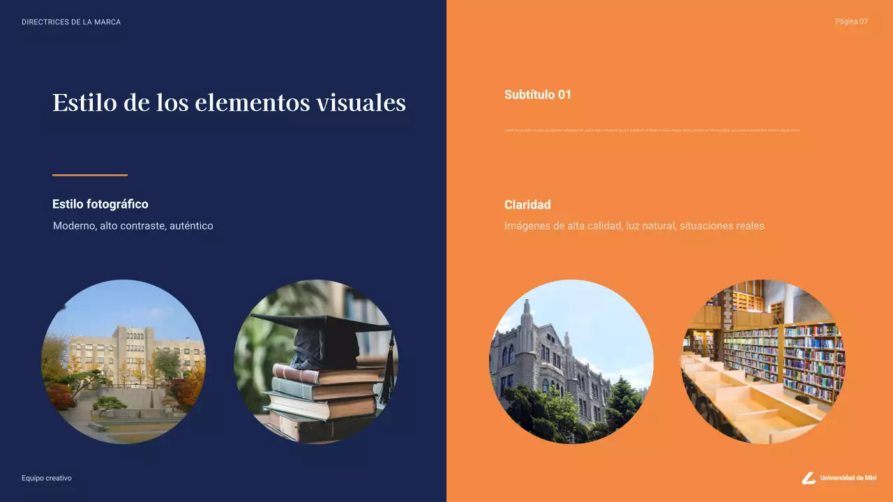 directriz de la universidad profesional de la marina