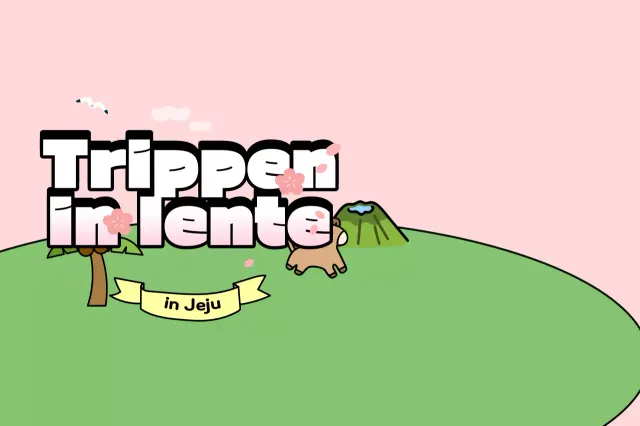 Promoot roze gezellig reizen