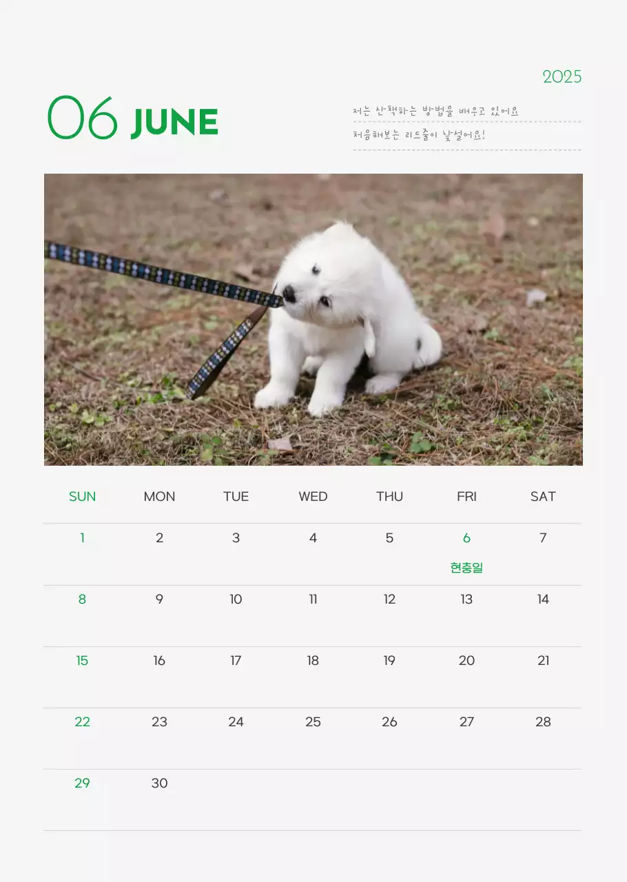 초록 심플 동물 달력