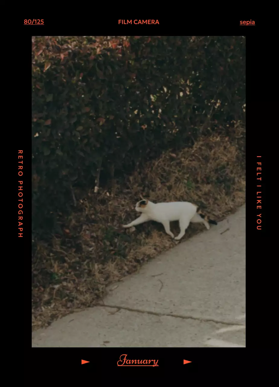 레트로 필카 분위기 달력