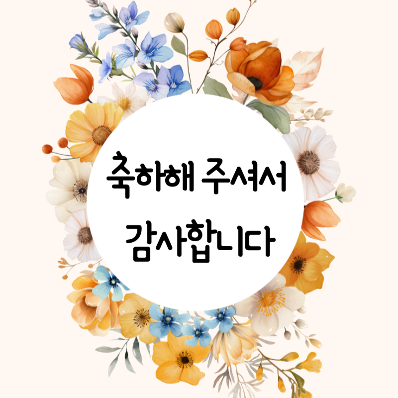 축하 스티커