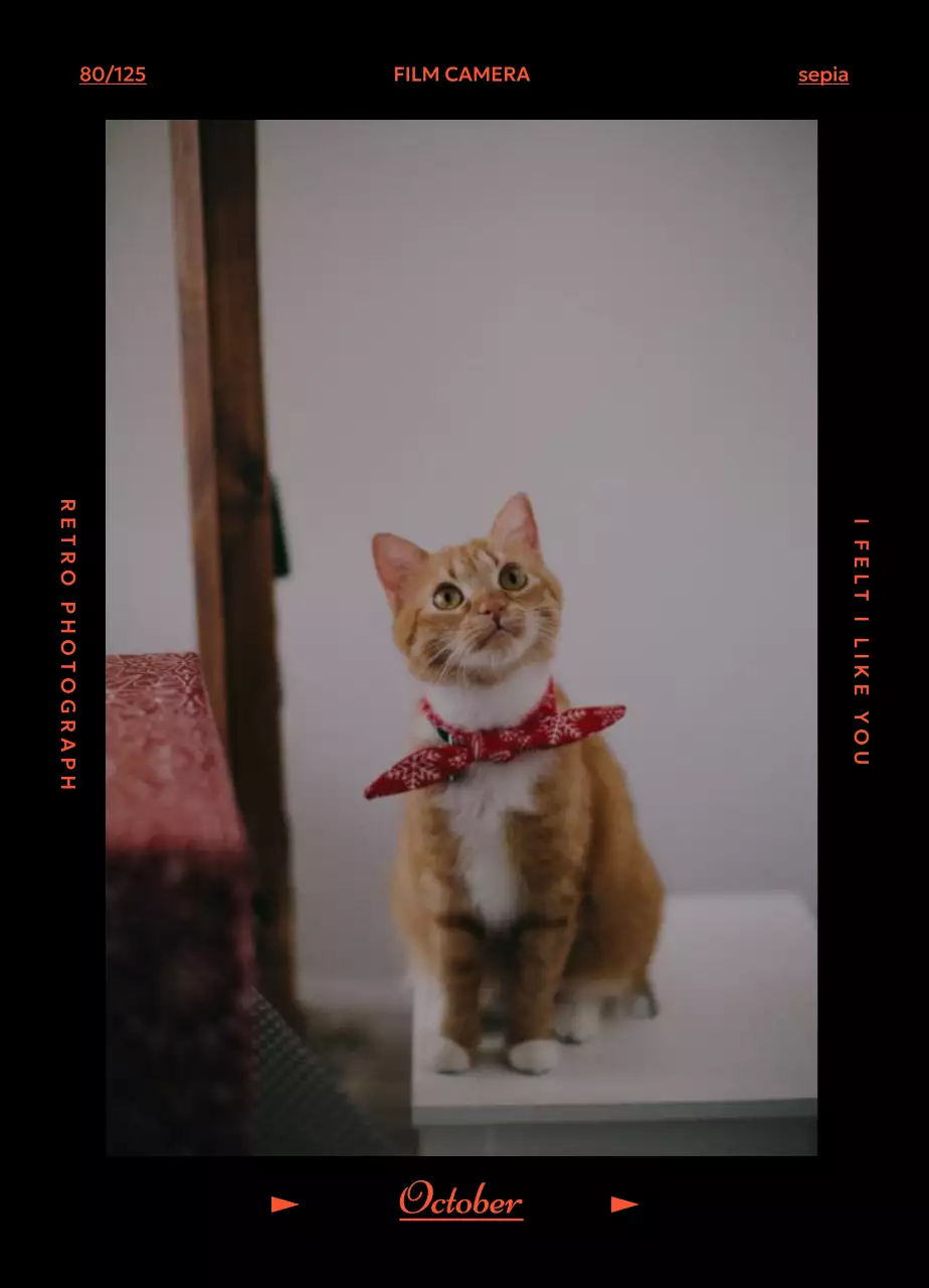 Kalender Suasana Hati Retro Filka